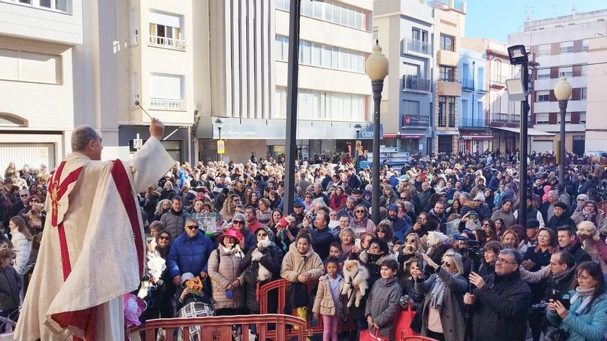 La bendición y les &#039;coques&#039; protagonizan la última jornada de Sant Antoni en Benicarló