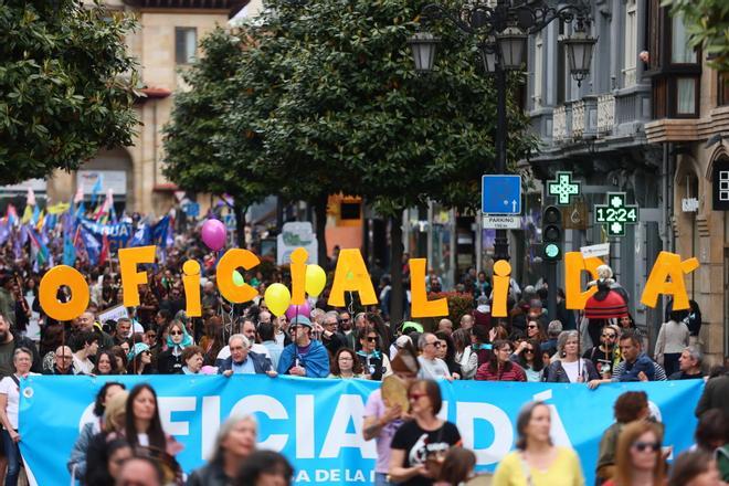 Manifestación por la oficialidad del asturiano
