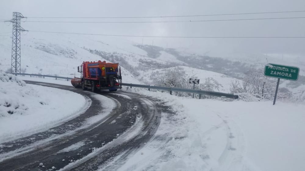 La nieve cubre la comarca sanabresa