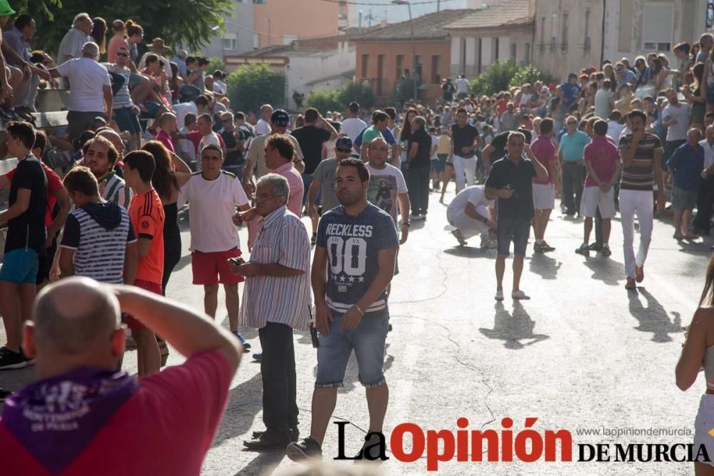 Segundo encierro de Calasparra