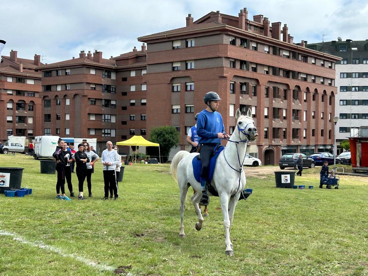 EN IMÁGENES: Así fue el certamen canino "Canstrillón" de Piedras Blancas por San Isidro