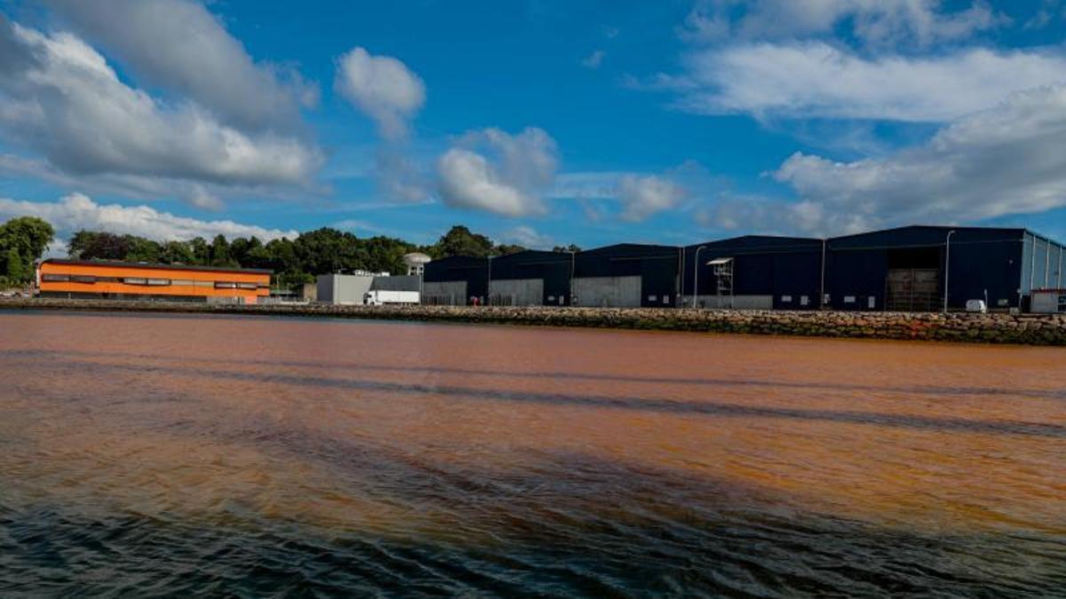 La dársena dos del Puerto de Vilagarcía quedó tiznada por completo de marrón.