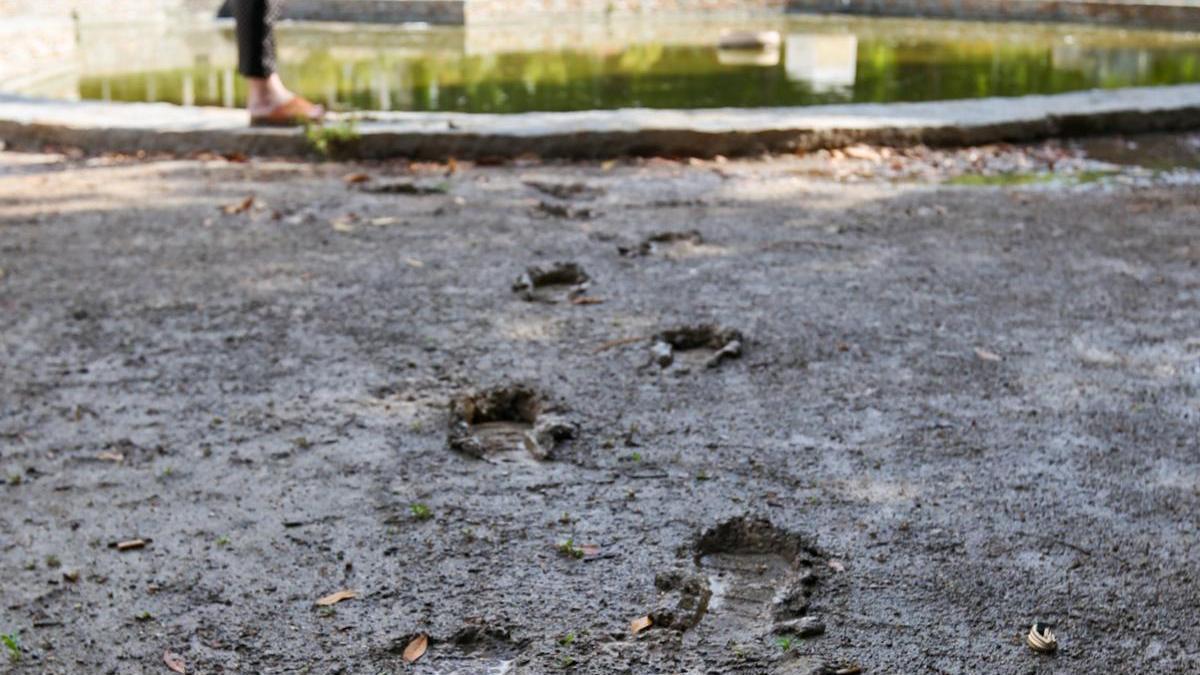 El sistema de riego provoca charcos y barro en algunas zonas del parque Lo Morant