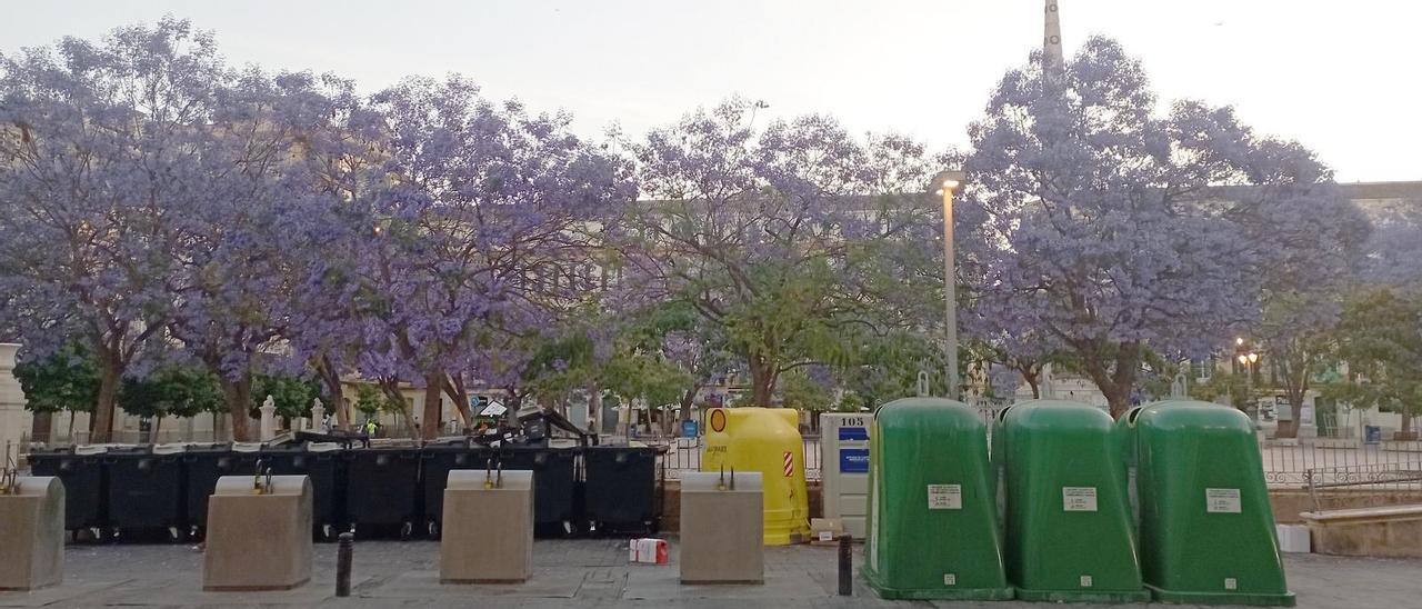 Frontal de contenedores, en el exterior de la plaza de la Merced, con las jacarandas en flor detrás.