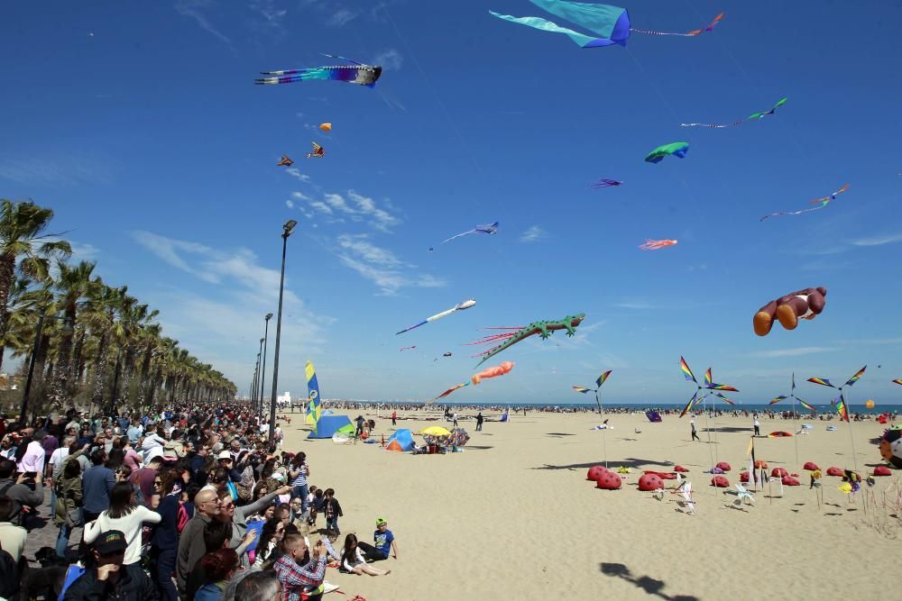 Festival del Viento 2016 en la Malva-rosa