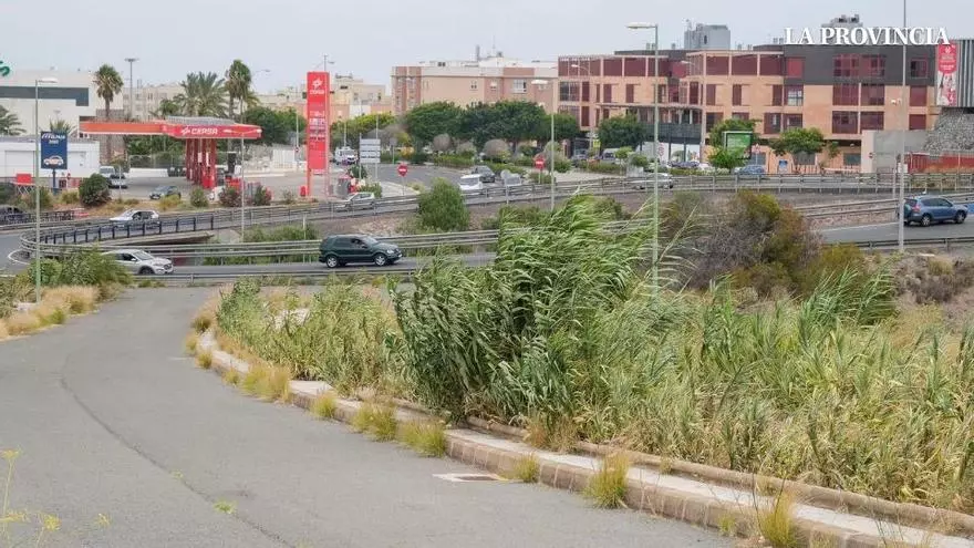 15 años esperando por el enlace de Almatriche a Siete Palmas