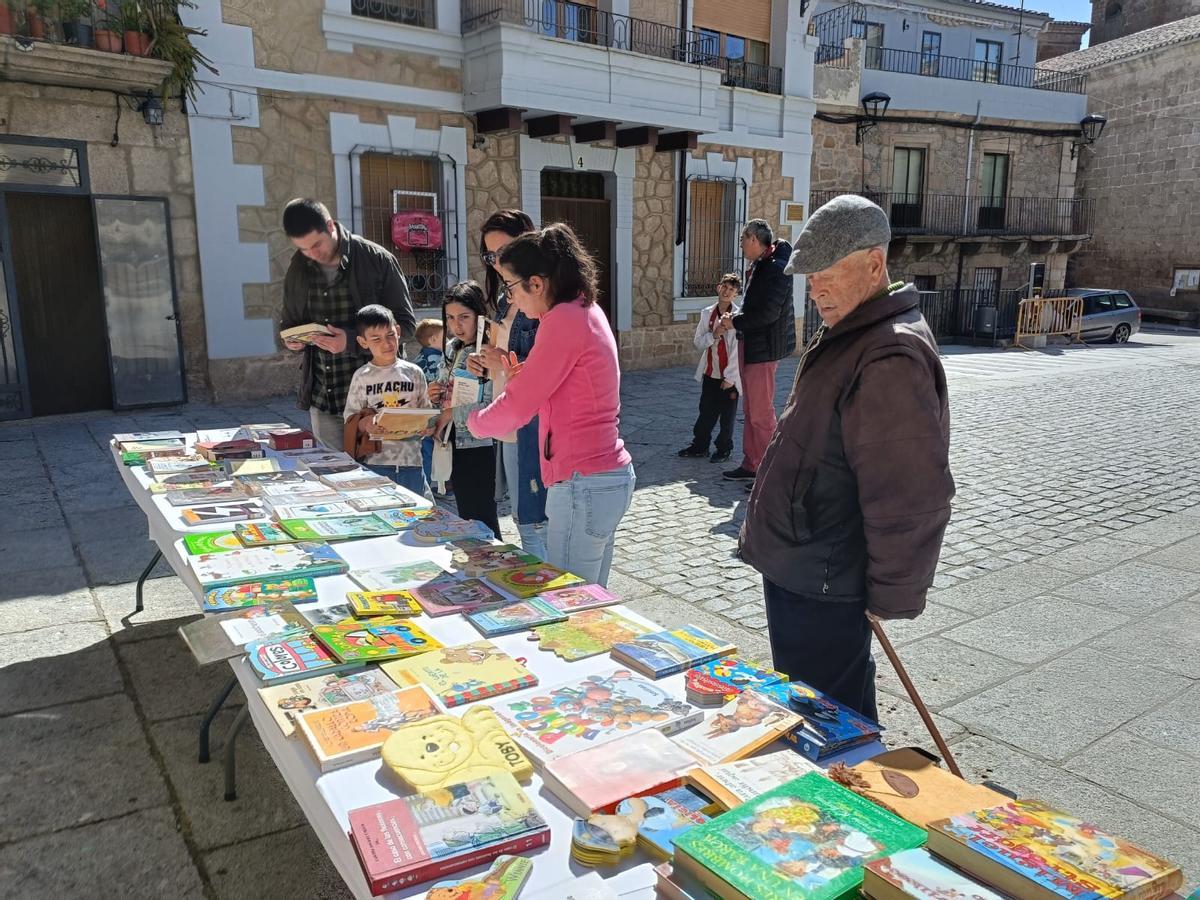 Día del libro en Fermoselle