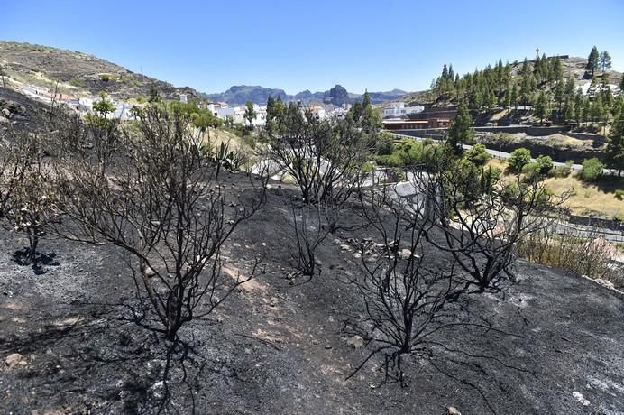 Vistas, hoy, de la zona del incendio de anoche ...