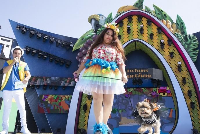 24.02.19. Las Palmas de Gran Canaria. Carnaval 2019. Concurso Carnaval Canino 2019. Claudio Ayala Gil, presenta a Shakira, con la fantasía "Valor es tener libertad sin depender de nadie más". Foto Quique Curbelo