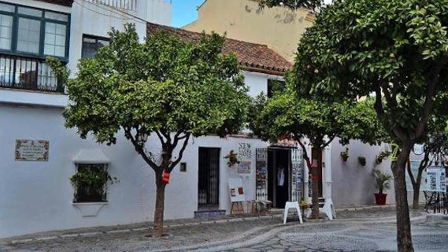 Una de las calles de Estepona mejorada con Jardines de la Costa del Sol.