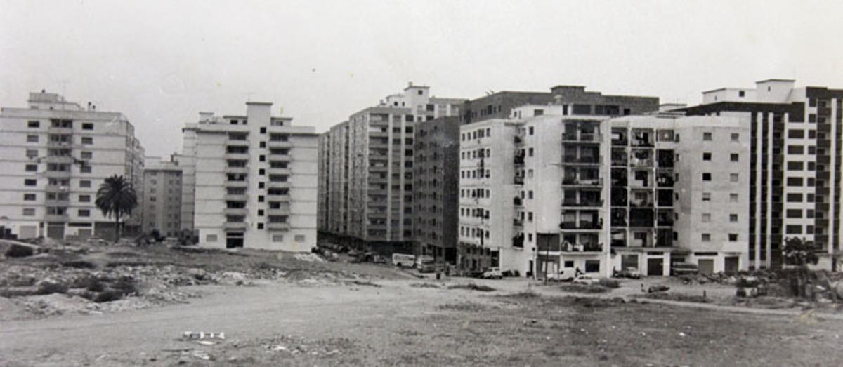 Cuarenta años de un proyecto en común