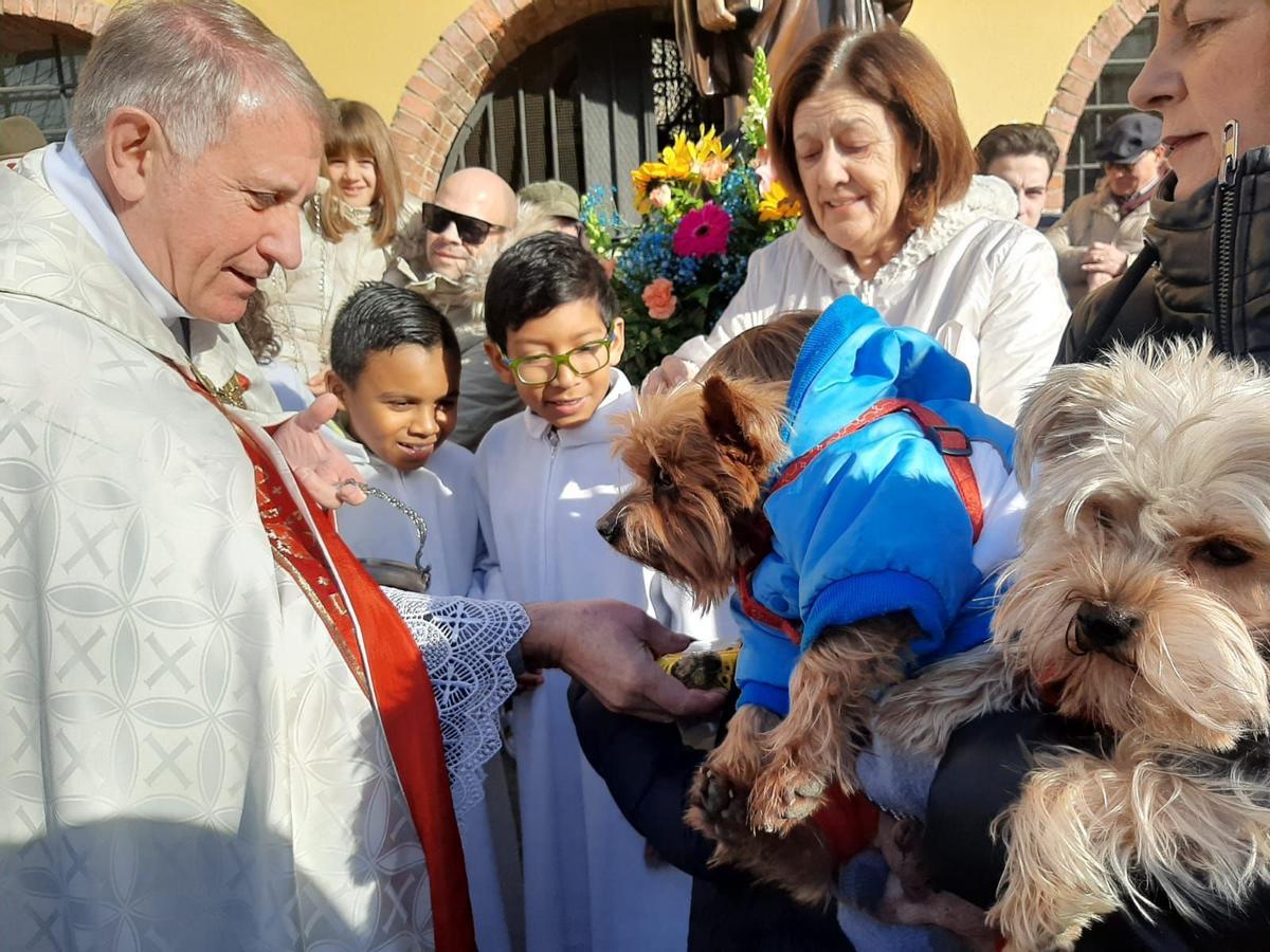El párroco de Lugones, Joaquín Serrano, bendice a una de las mascotas durante la celebración de San Antón del año pasado.