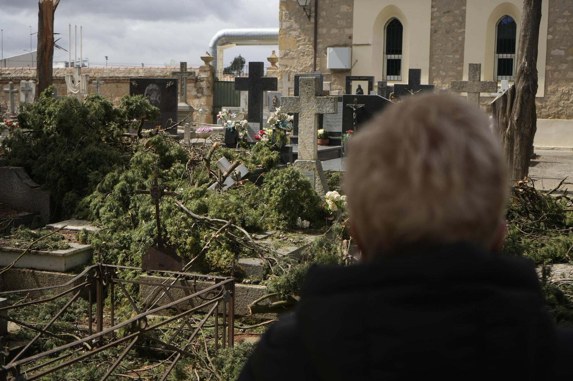 Los importantes daños del temporal en el Cementerio de Zamora