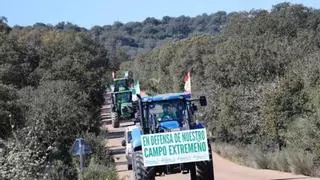 La Comunidad de Labradores llama a agricultores, industriales y empresas auxiliares a la manifestación del 31 de marzo