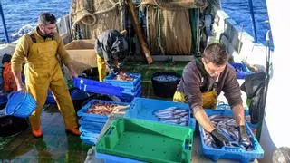 Hachazo a la pesca: la UE aumenta de 15 a 45 los días de paro y deja sin rentabilidad al sector alicantino
