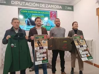 La Copa Zamora de Galgos ya está aquí: estos son los detalles del arranque que se vivirá este domingo