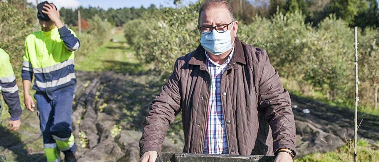 Juan Carlos Mosquera, en la recogida de 2020, preside el colectivo local.   | // BERNABÉ/ANA AGRA