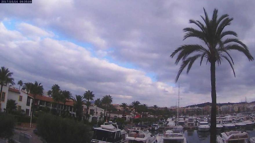 Die Palme steht kerzengerade! Heiter bis wolkiges Wetter am Montagvormittag (16.10.) in Port d&#039;Alcúdia.