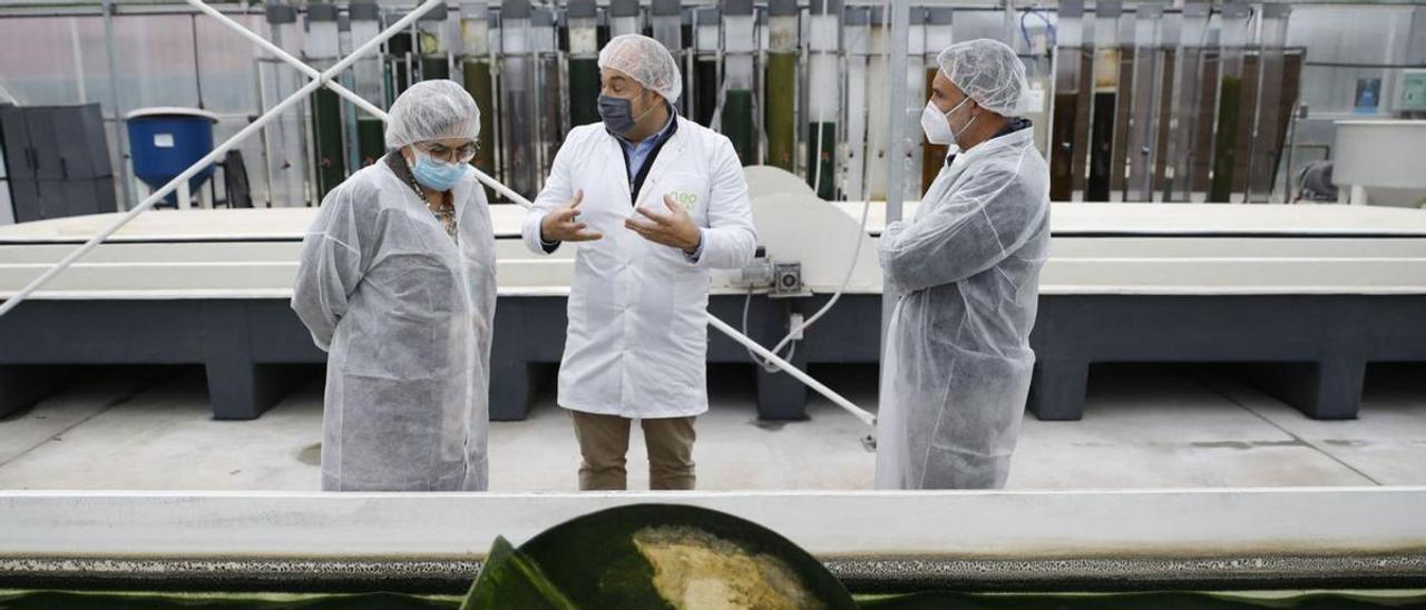 Ana González, Fidel Delgado y Luis Díaz, ayer, en la sede de Neoalgae. | Marcos León