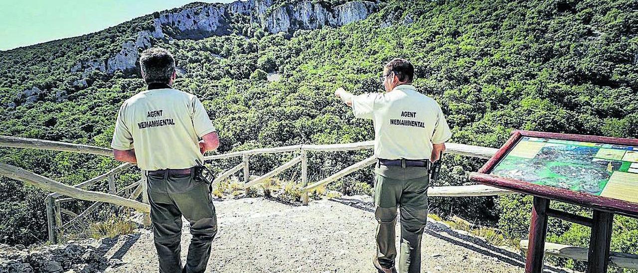 Dos agentes medioambientales, durante una jornada de trabajo en el parque natural de la Font Roja.