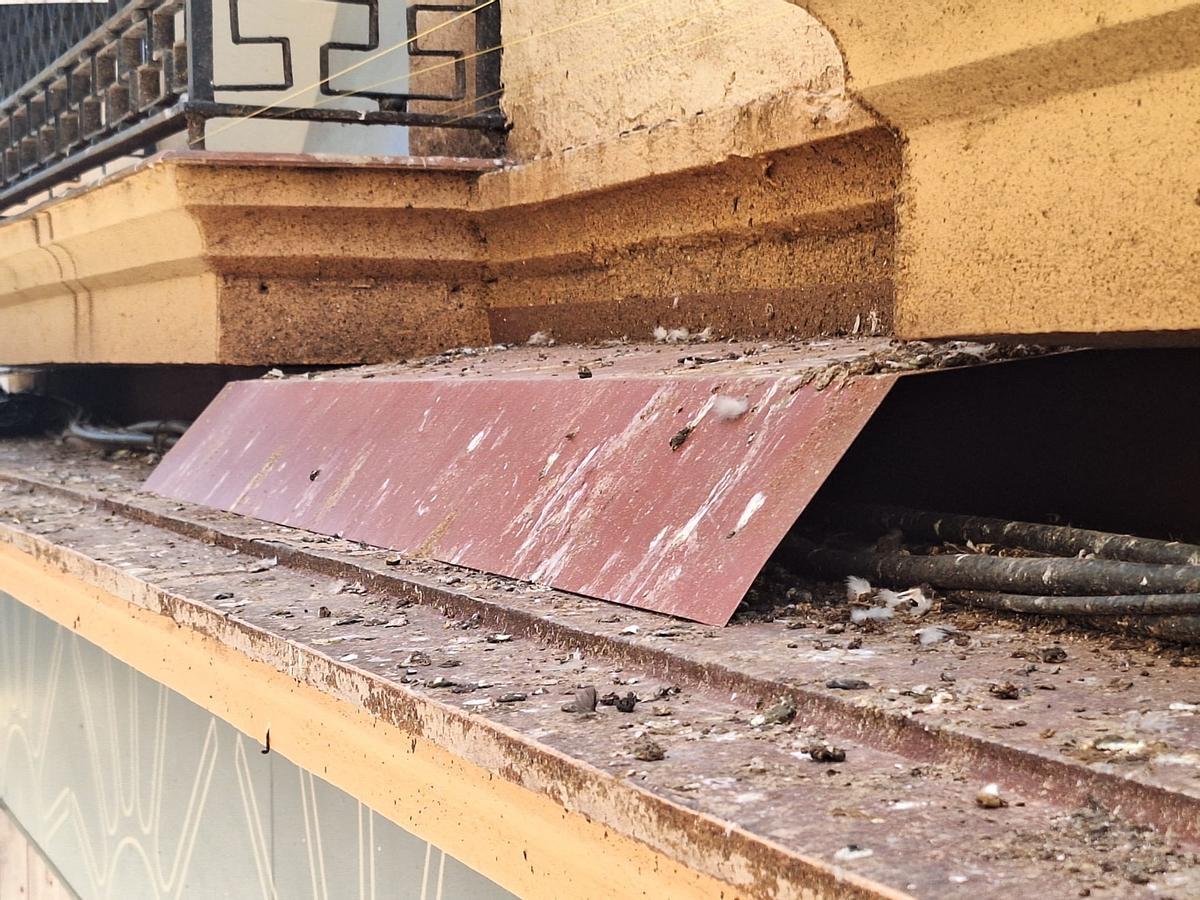Fotogalería | Los vecinos del Casco Antiguo de Badajoz se quejan de las palomas