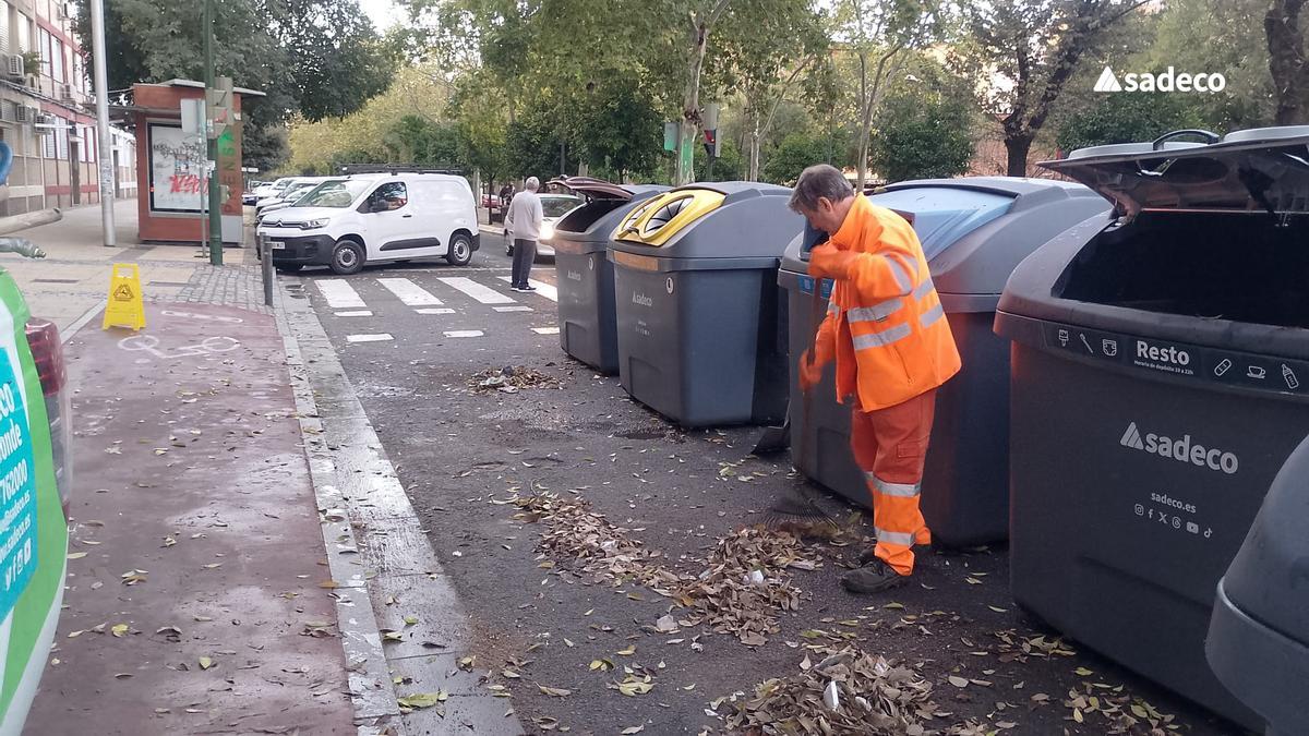 Campaña 'Echamos el resto' de Sadeco.