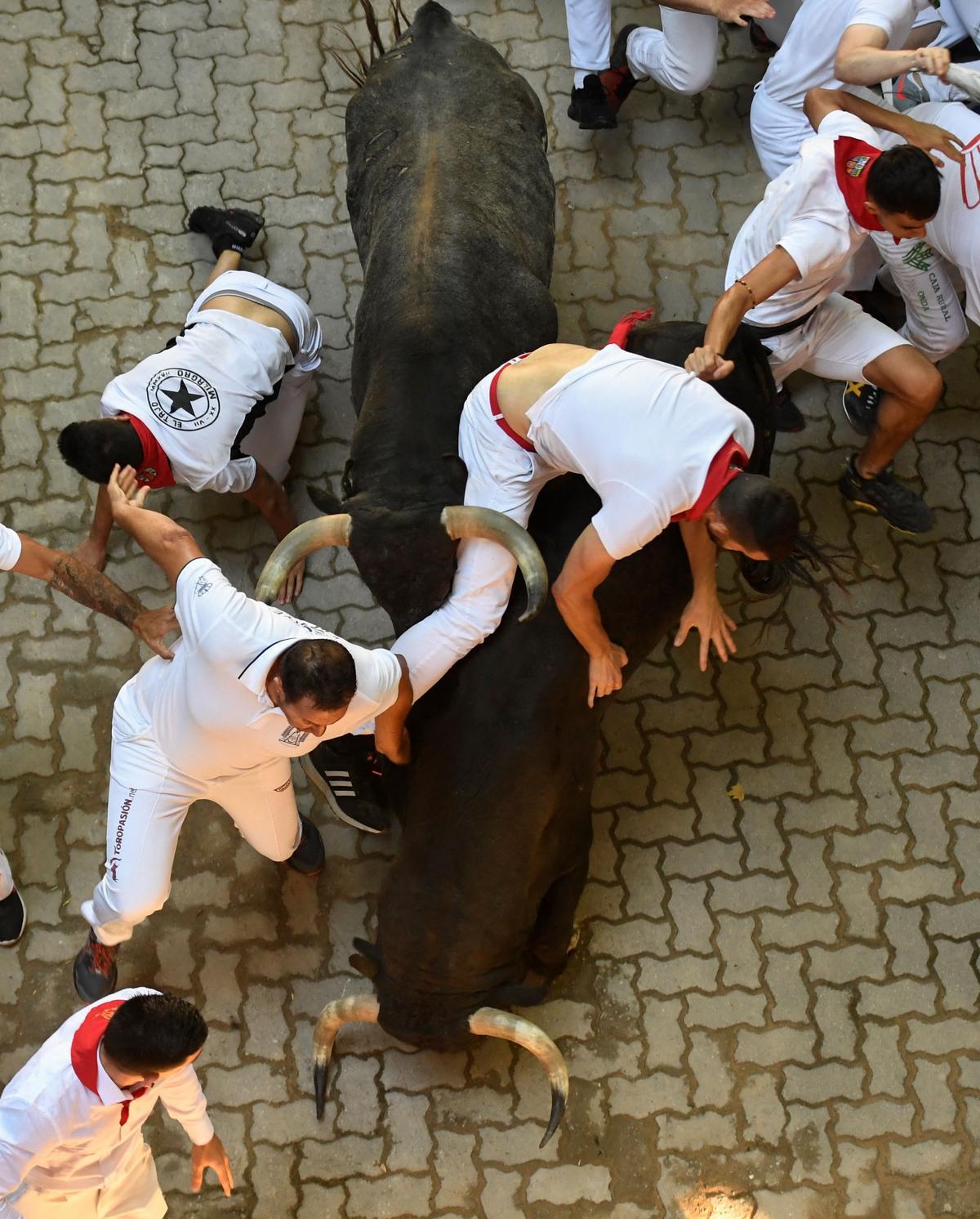 La Ressurrecció dels Sanfermins.