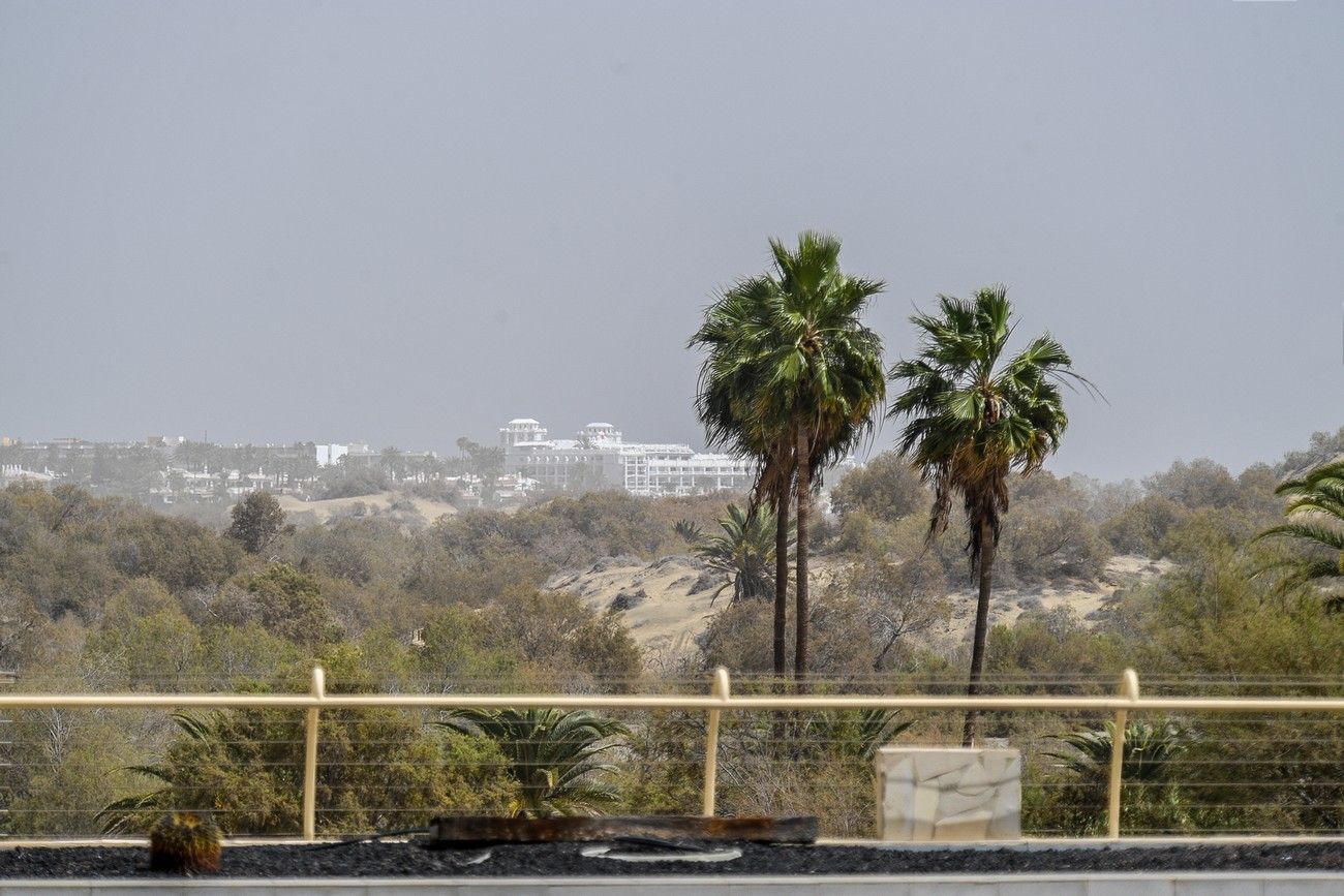 Calima en Las Palmas de Gran Canaria (17/03/2022)