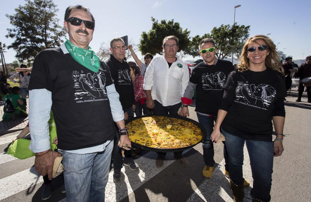 Magdalena 2016: Concurso de paellas intercollas