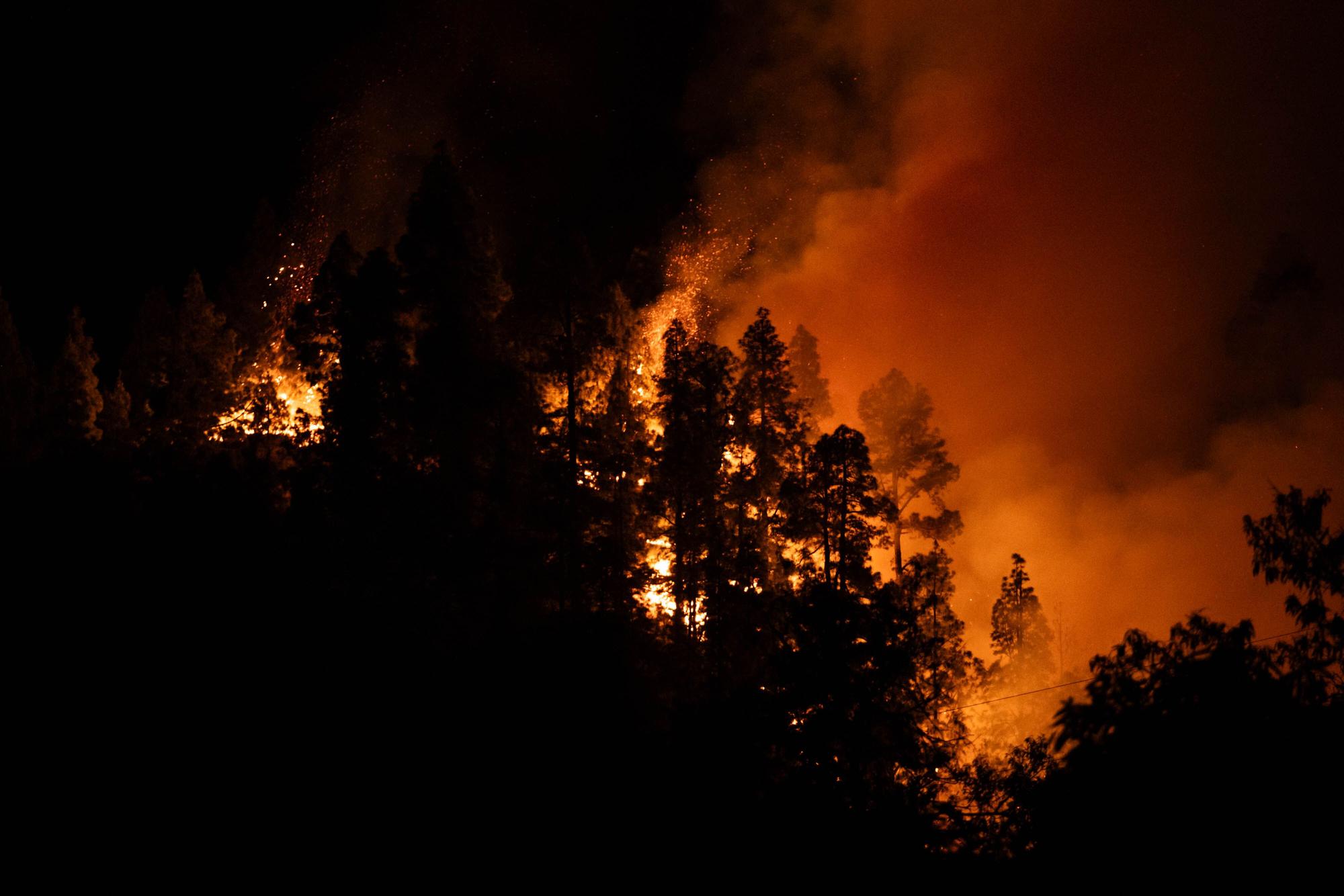 Incendio en La Palma, este domingo