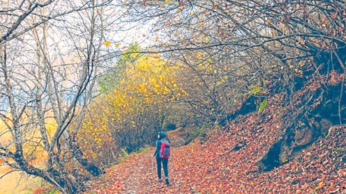 El Valle del Genal es un lugar idílico para disfrutar en otoño de sus paisajes, pueblos y su gastronomía.