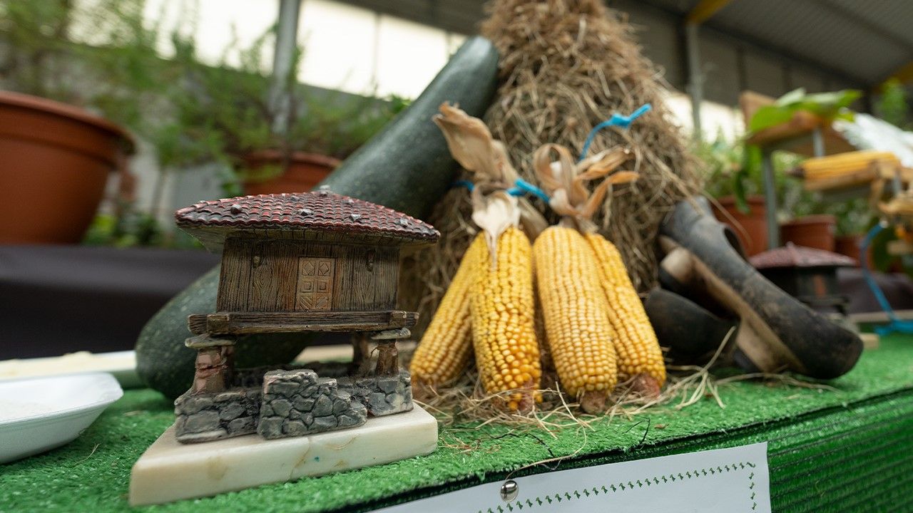 Lo mejor del campo asturiano se cita en Pravia: así se celebra el Festival de la Huerta