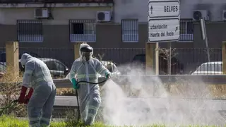 El SAS activa la primera alerta por el virus del Nilo en Andalucía: un caballo da positivo en Almería