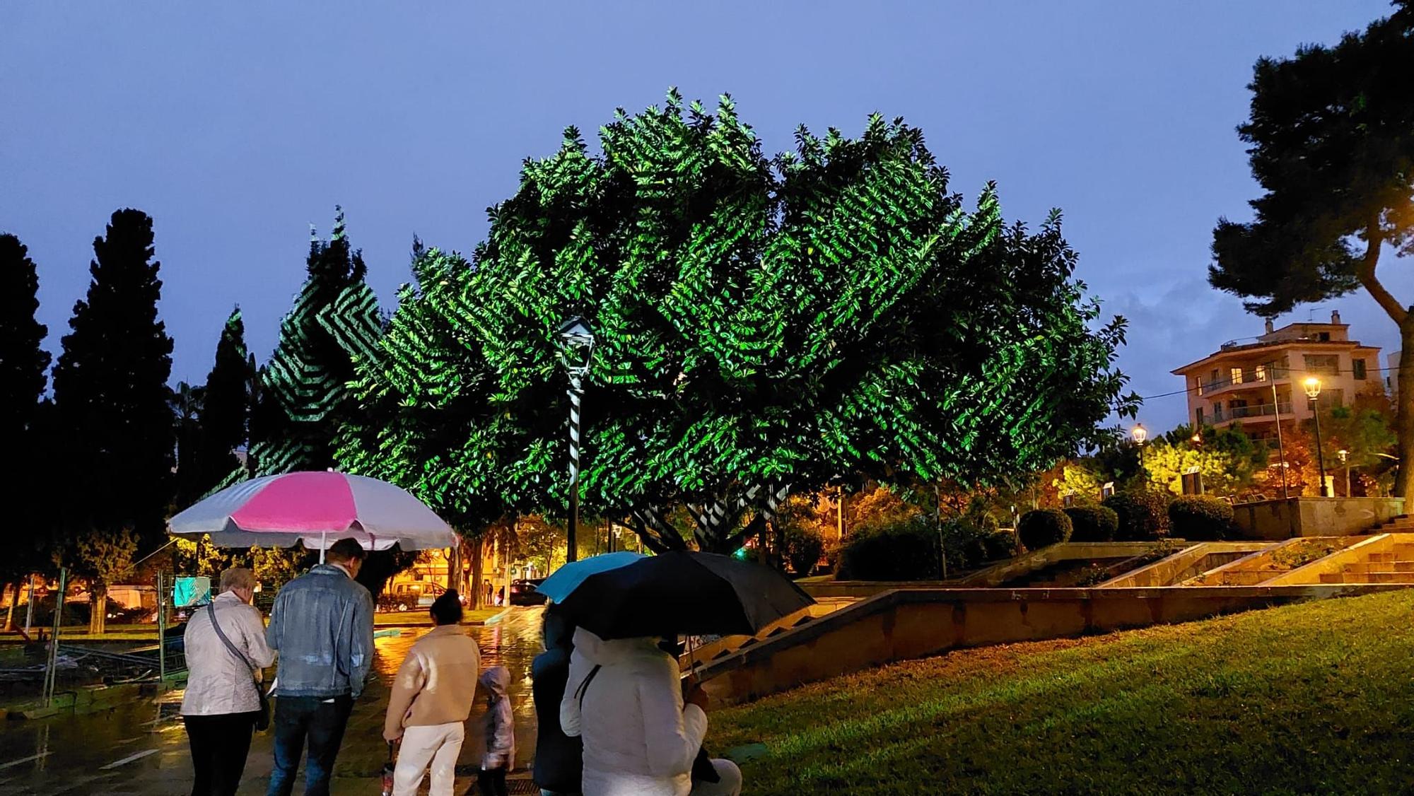 La lluvia frustra los espectáculos de luces de Navidad en Palma