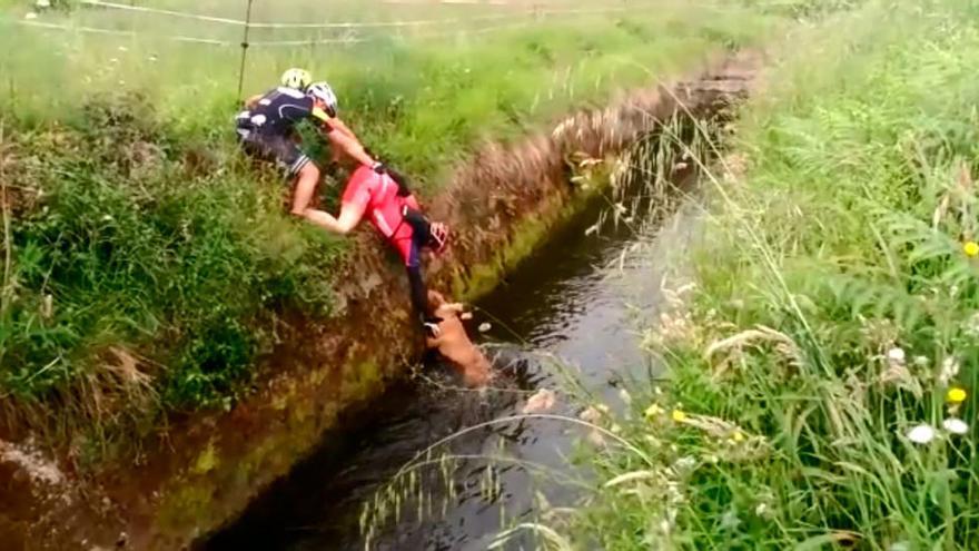 Cuatro castrillonenses rescatan un perro de un canal de agua en Villa