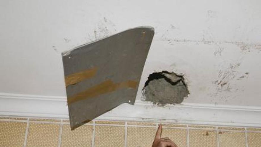 Cómo eliminar ratas entre paredes