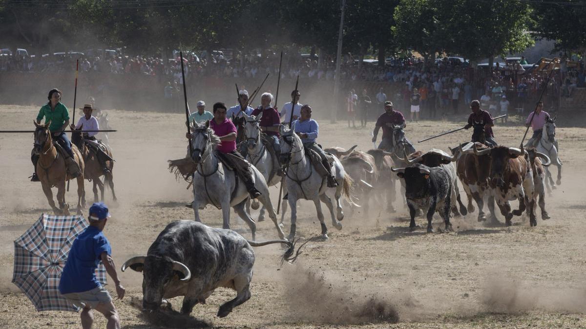 Espantes en Fuentesaúco durante el pasado verano.