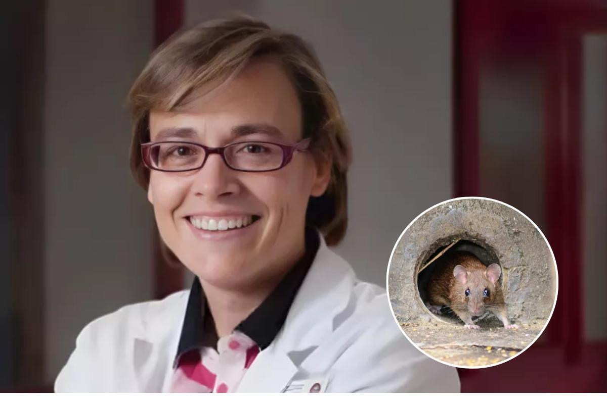 María Velasco es portavoz de la Sociedad Española de Enfermedades Infecciosas y Microbiología Clínica (SEIMC)