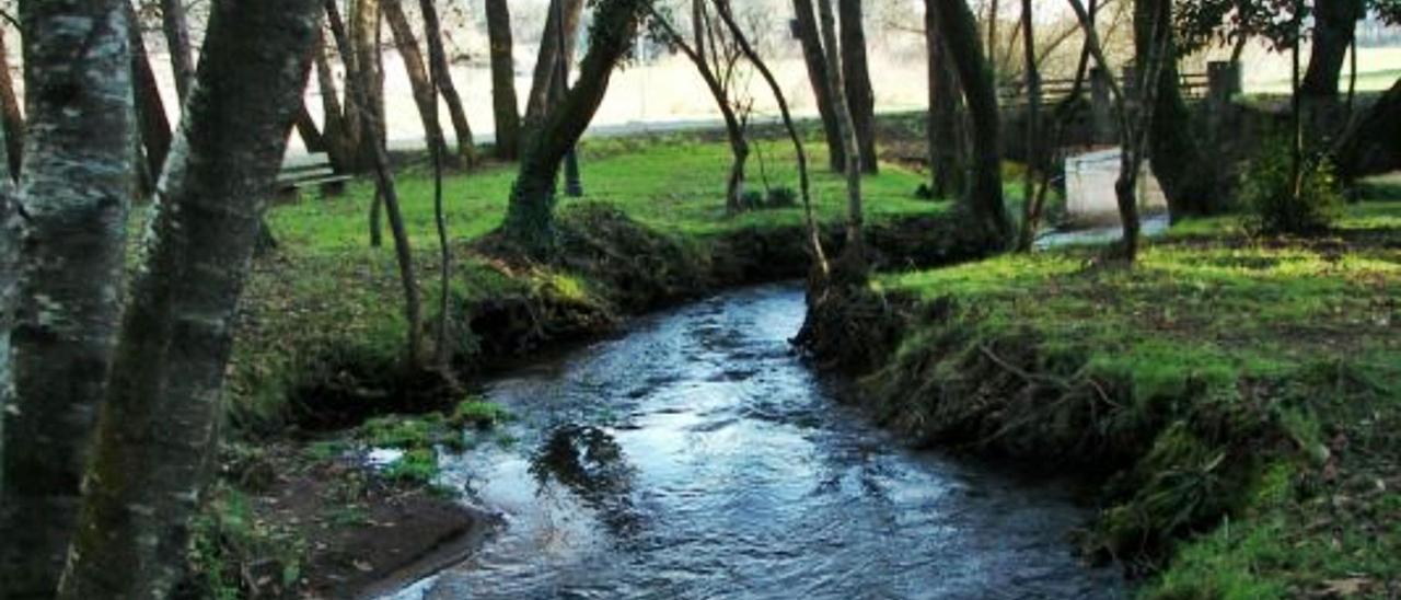 Área recreativa de Gastrar, rodeada de una gran carballeira y escoltada por un castro.