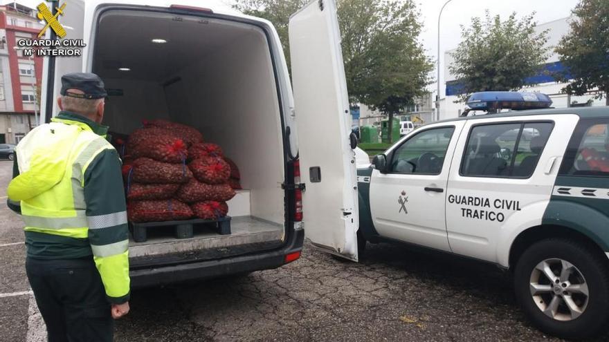 Interior de la furgoneta con la almeja ilegal. // FdV