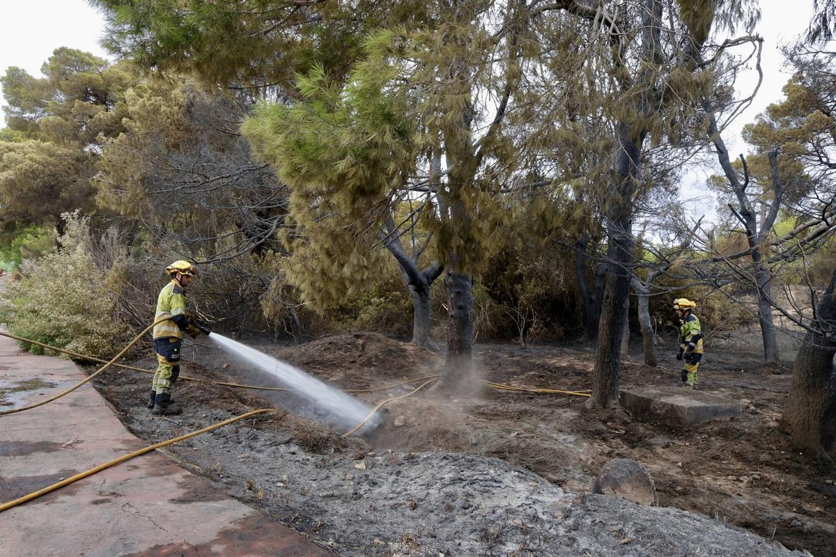 Valencia.Segundo día Incendio forestal en La Dehesa de El Saler Desalojados del pueblo, hostelería y playas Parque natural de la Albufera VLC