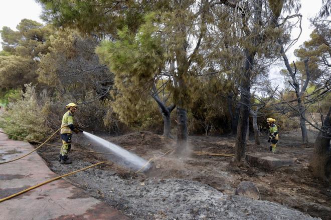 El incendio de Valencia está estabilizado y los vecinos pueden volver a sus casas