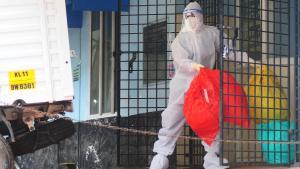 Torna el letal virus Nipah: ¿quin perill representa?