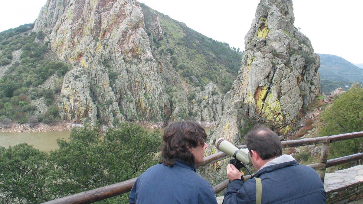 Parque Nacional de Monfragüe, un lugar ideal para observar aves en Extremadura.