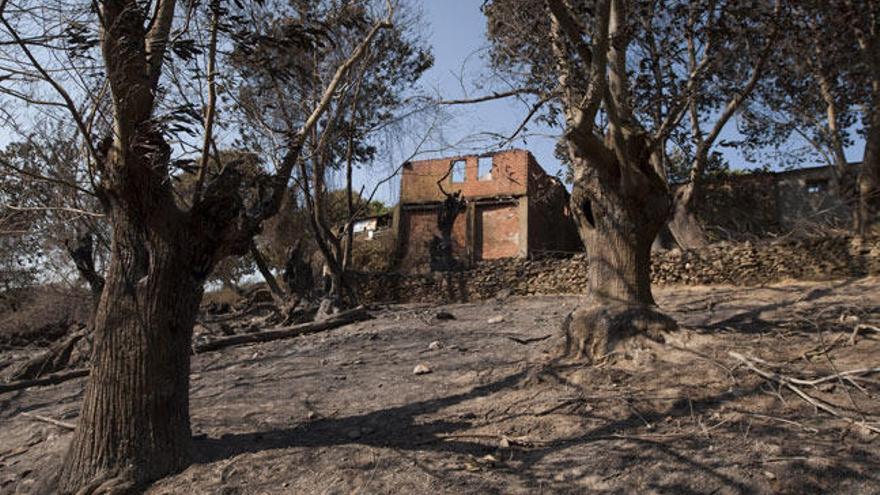 Imagen de la casa calcinada por las llamas del incendio de Trives // BRAIS LORENZO