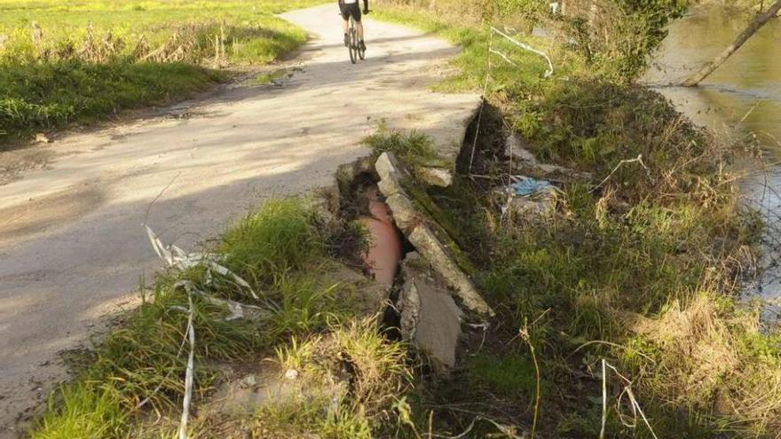 Estado en el que se encuentra el Camiño Francés a su paso por Baión. // Noé Parga