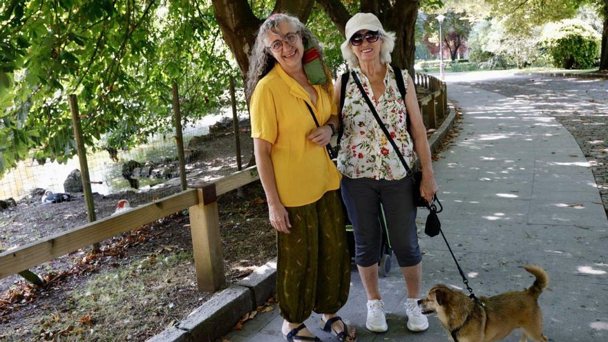 Gijón pide llevar atados a los perros en parques ante la preocupante disminución de pájaros y así reaccionan los dueños de mascotas