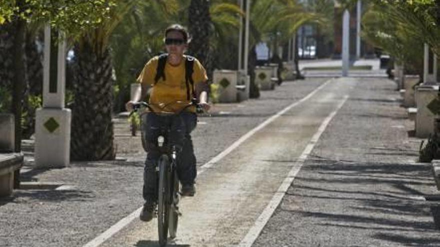 Las obras de adecuación del carril bici de la avenida de la Libertad comenzarán en un mes