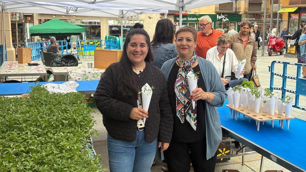 Como principal atractivo de la jornada, se han repartido un total de 2.000 plantas de tomate rosa entre los asistentes.