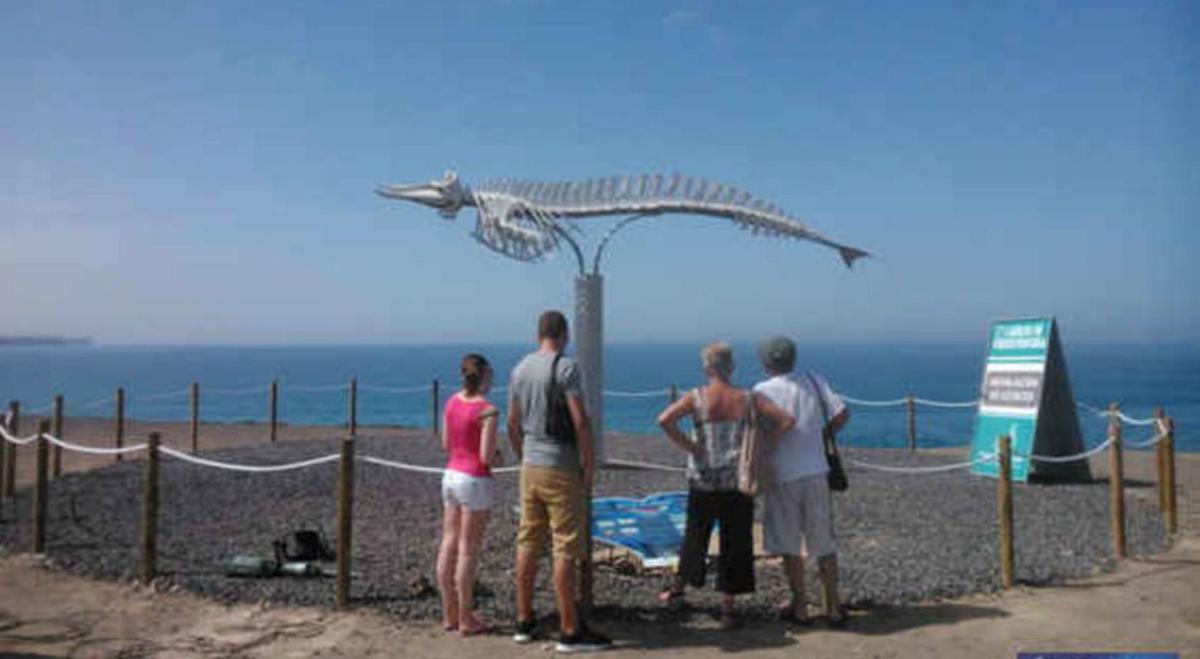 Cuatro personas observan el esqueleto de un zifio en El Cotillo. | | LP/DLP